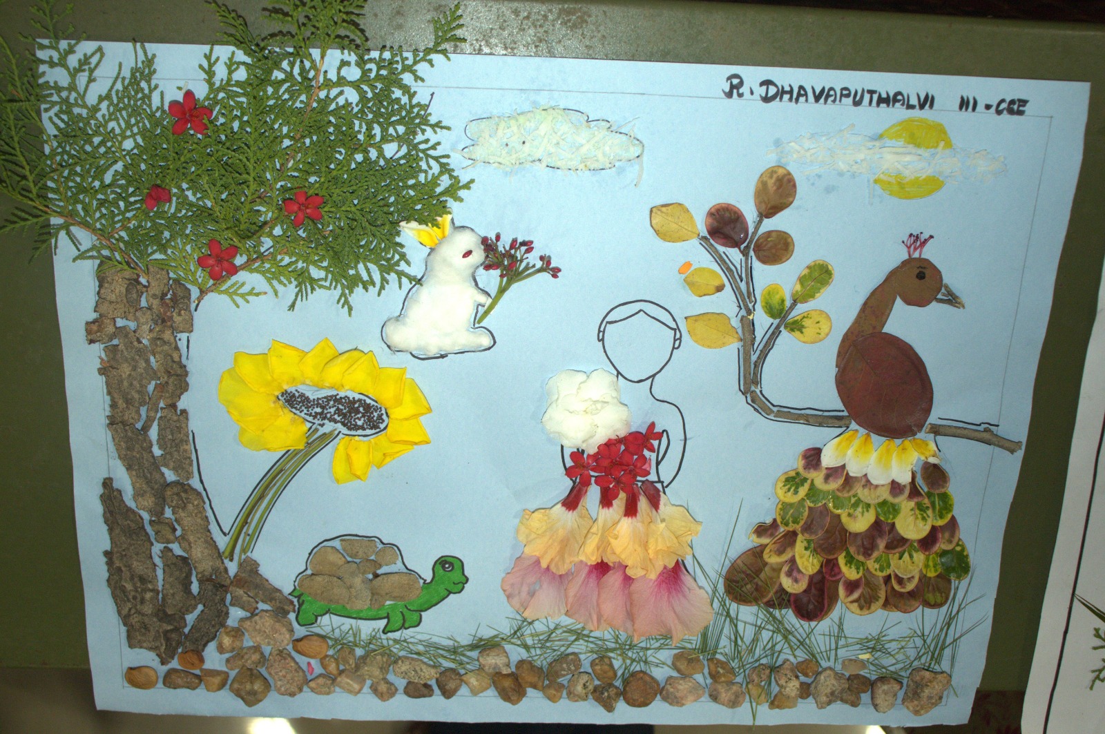 KKT  - Nature Collage